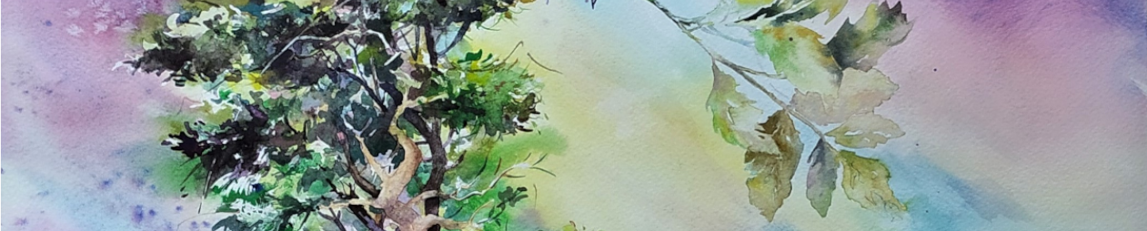 1-couverture les racines de la vie