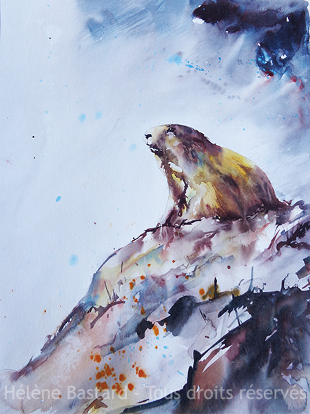 tableau aquarelle marmotte